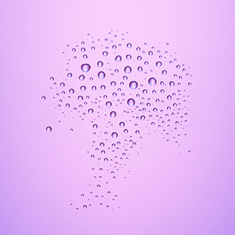 4059729358073_2