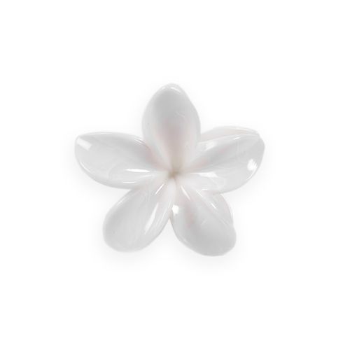 Vincha Flor Funky Fish Blanco