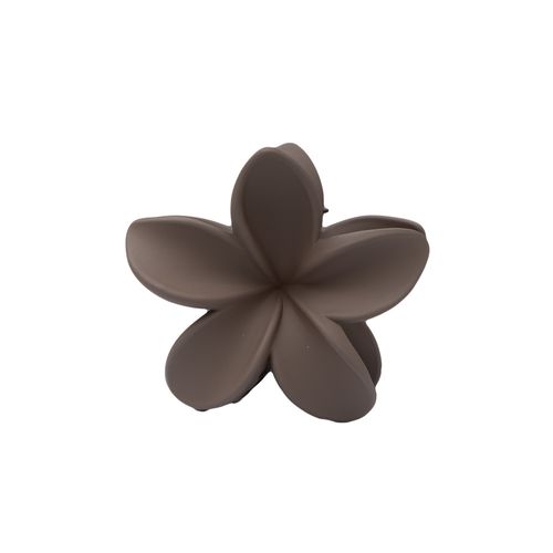 Vincha Flor Café Funky Fish