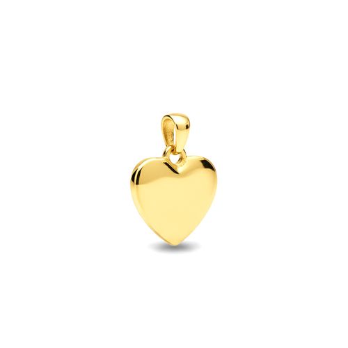 Dije Corazón  Mediano Bañado en Oro Funky Fish