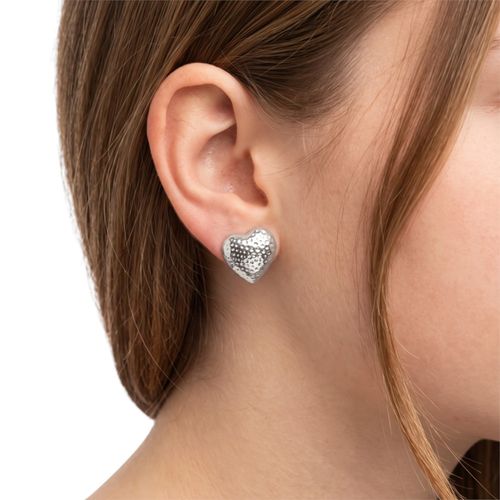 Aretes funky fish plateado
