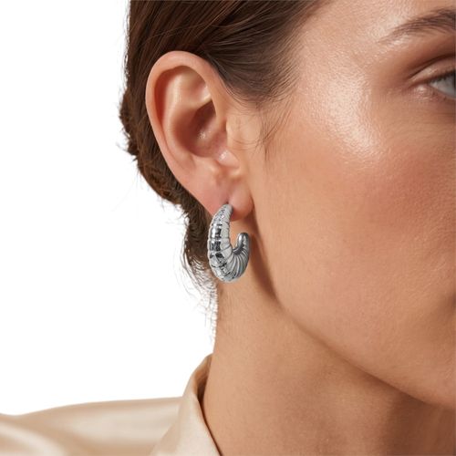 Aretes funky fish plateado